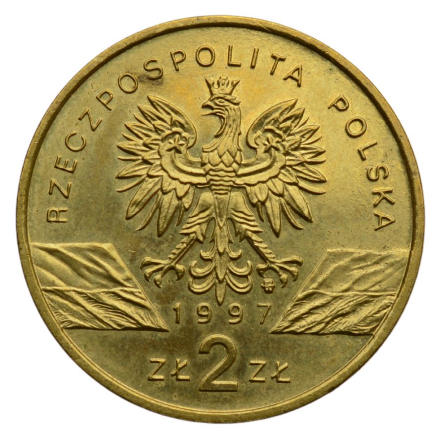 2 osoby - Zwierzeta swiata - Jelonek Rogacz