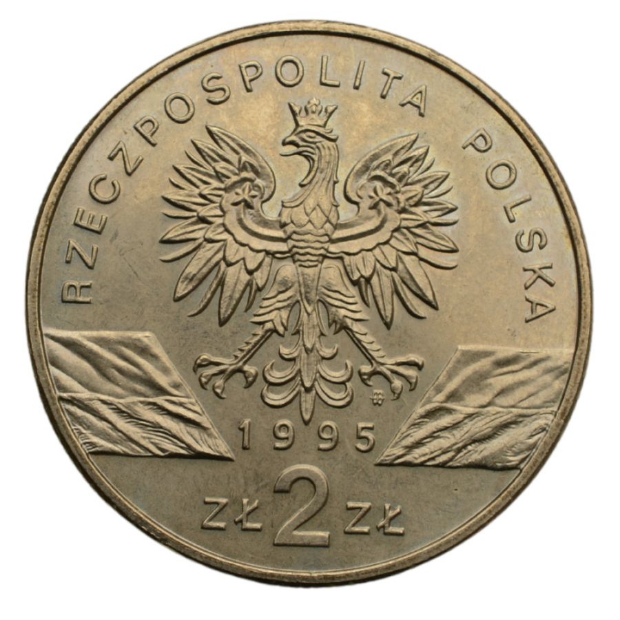 2 osoby - Zwierzeta swiata - Suma