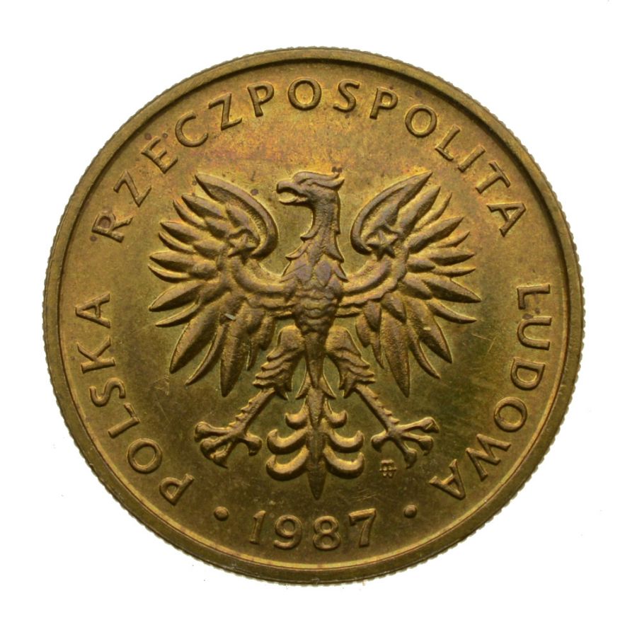 5 zlotych 1987 r. (M799)
