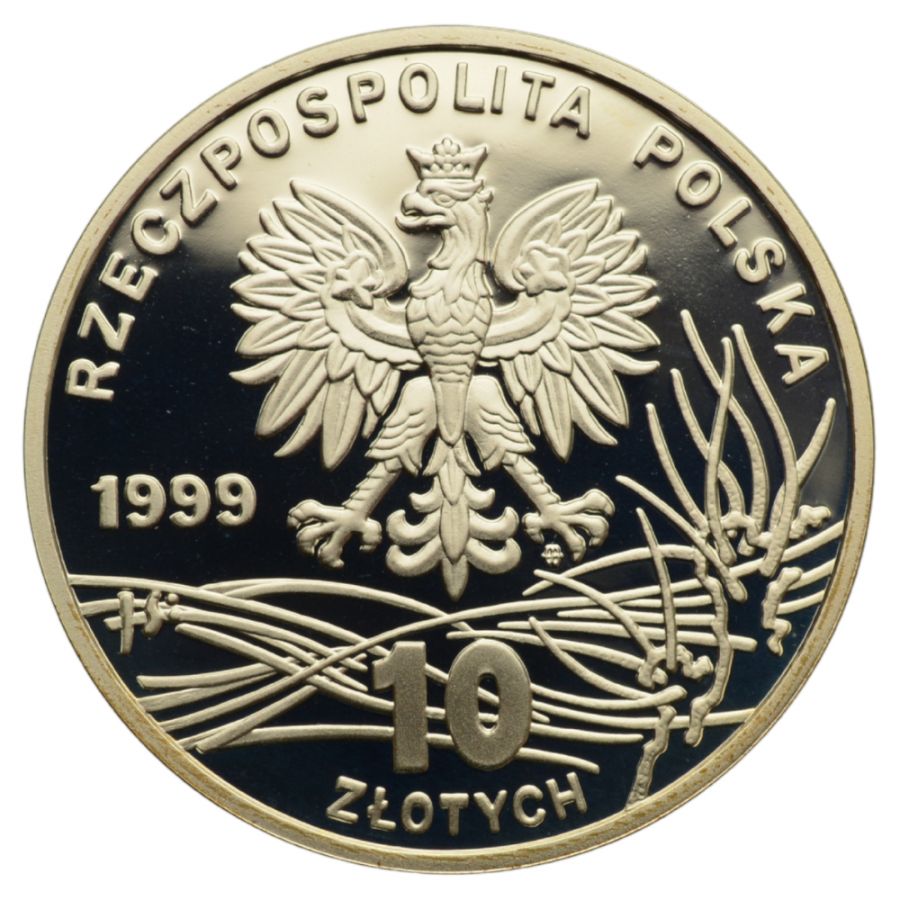 10 zlotych - Fryderyk Chopin