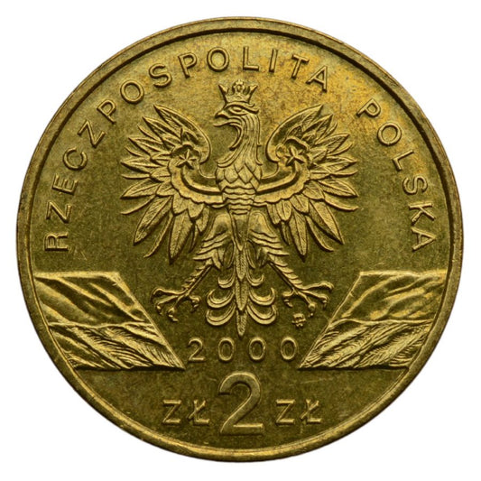 2 osoby - Zwierzeta swiata - Dudek