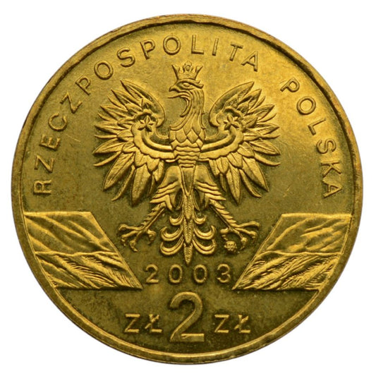 2 osoby - Zwierzeta swiata - Wegorz Europejski