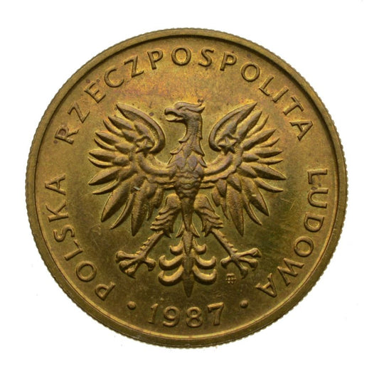 5 zlotych 1987 r. (M799)