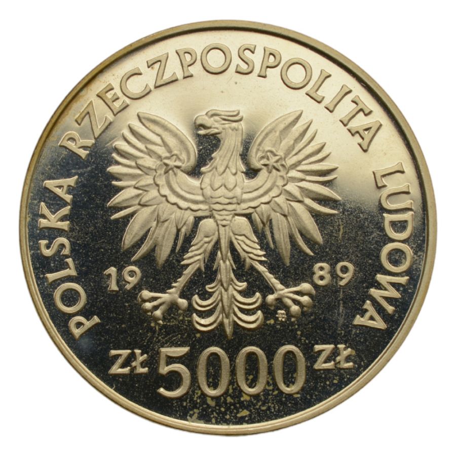 5000 zlotych - Ratujemy zabytki Torunia